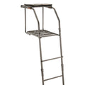 18’ Ladder Tree Stand with Seat and Foot Platform D168978