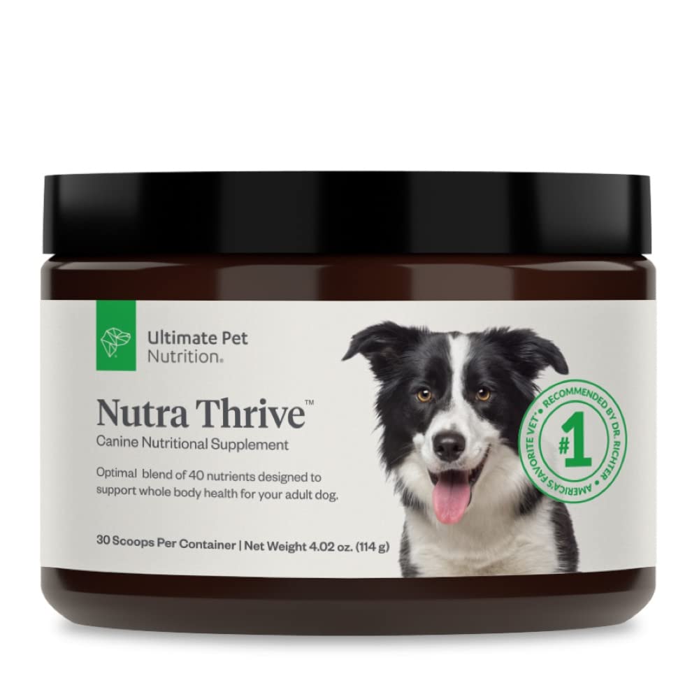 40-in-1 Nutritional Powder Supplement for Dogs V393