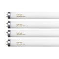 20 Watt T12 Fluorescent Tube Light Bulb Daylight 4 Count T98840