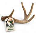 Natural Antler Dog Chew R66692