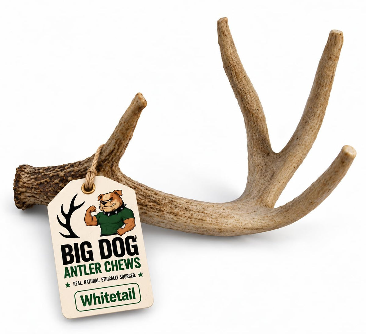 Natural Antler Dog Chew R66692
