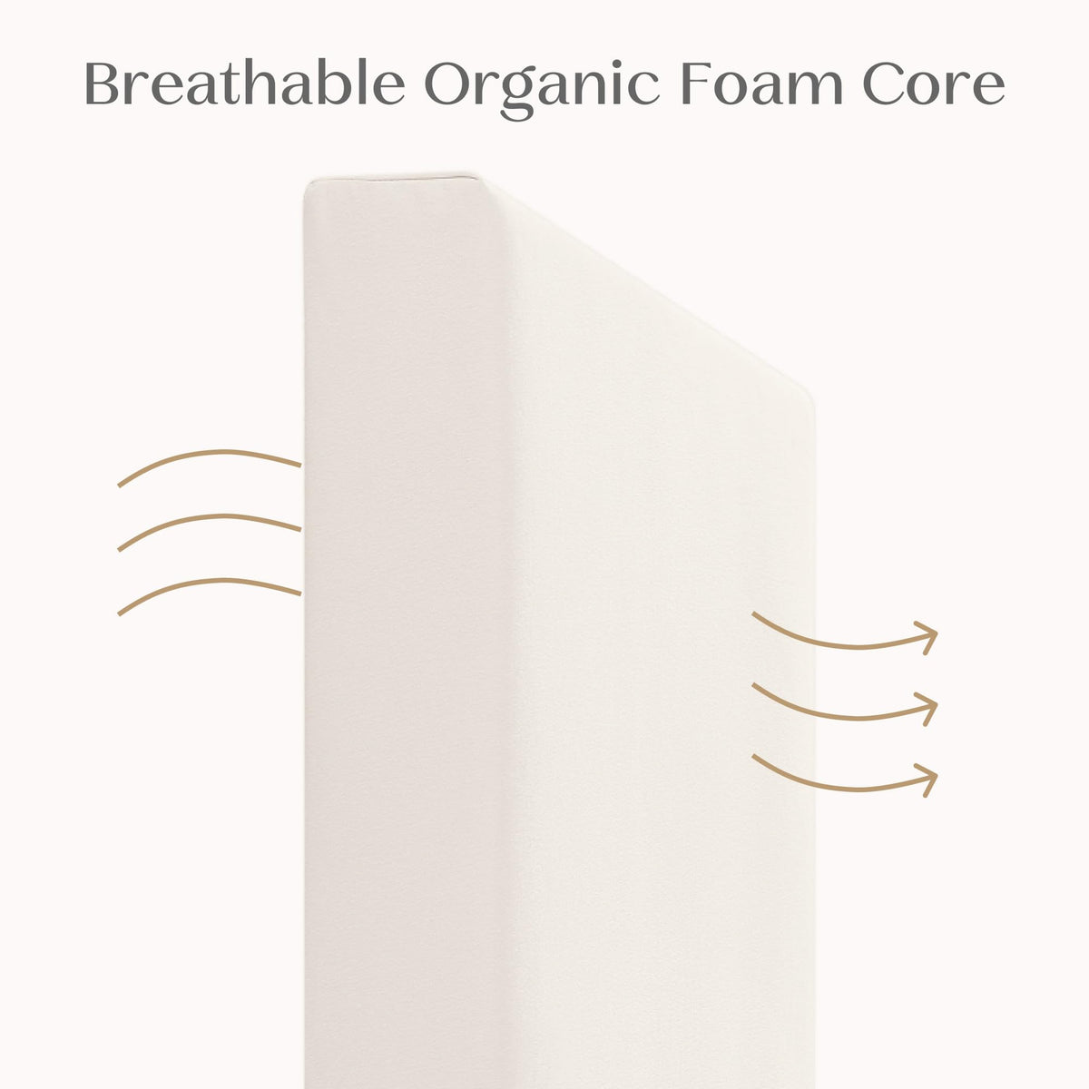 Organic Crib and Toddler Mattress Y653514