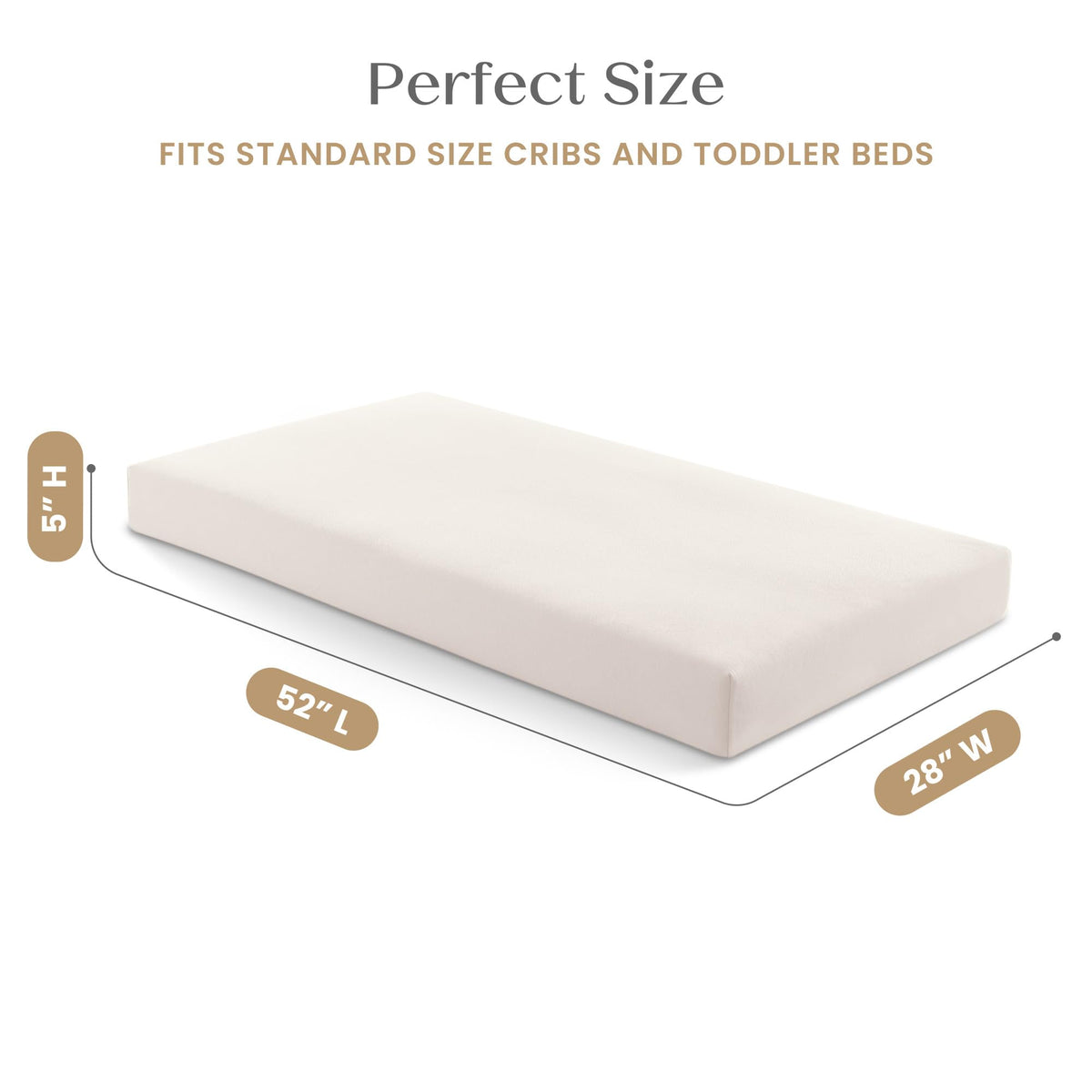 Organic Crib and Toddler Mattress Y653514
