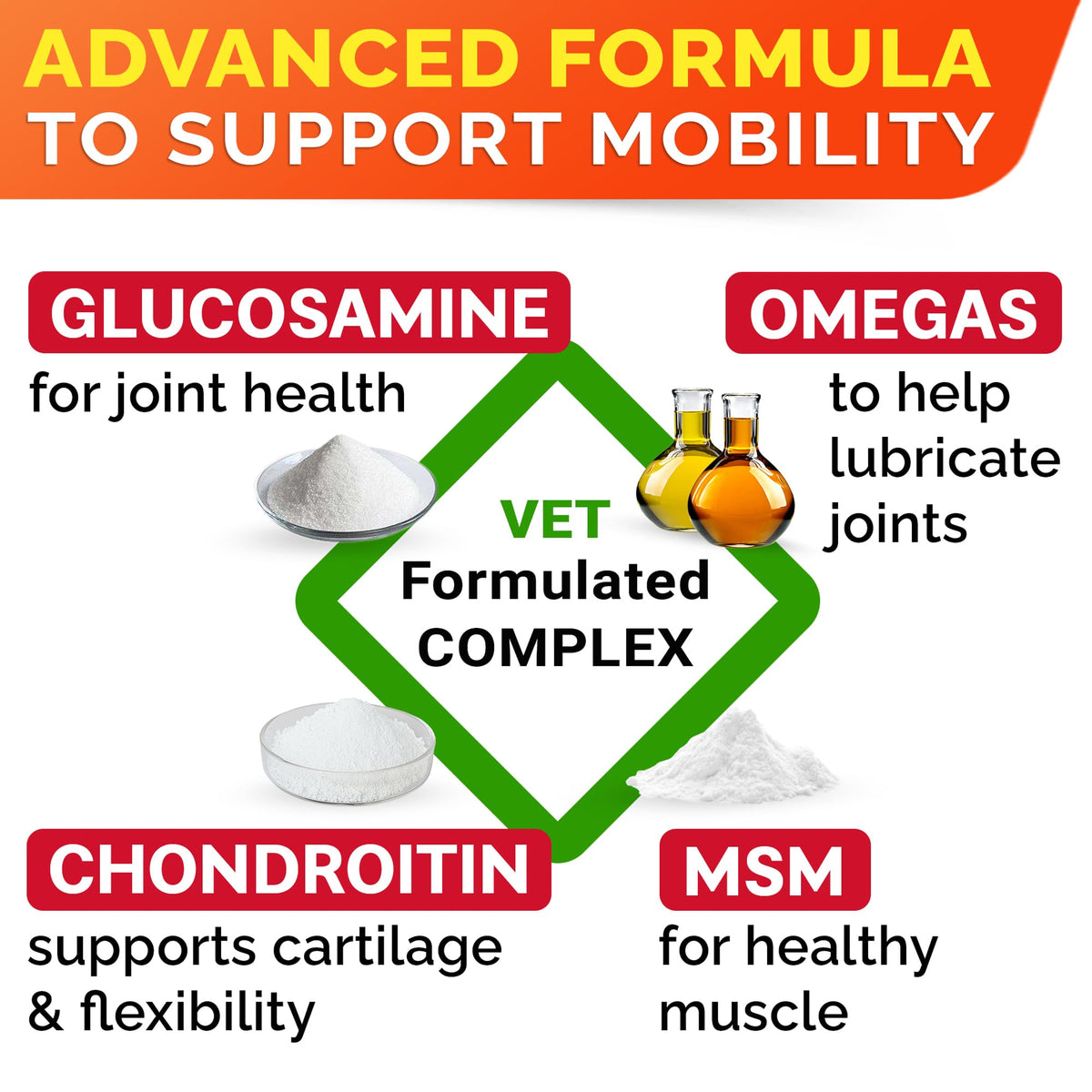 Glucosamine Chondroitin Joint Support A93240