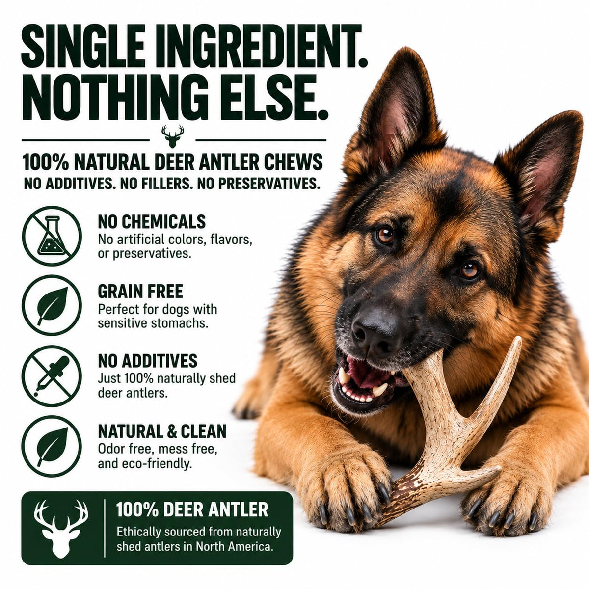 Natural Antler Dog Chew R66692