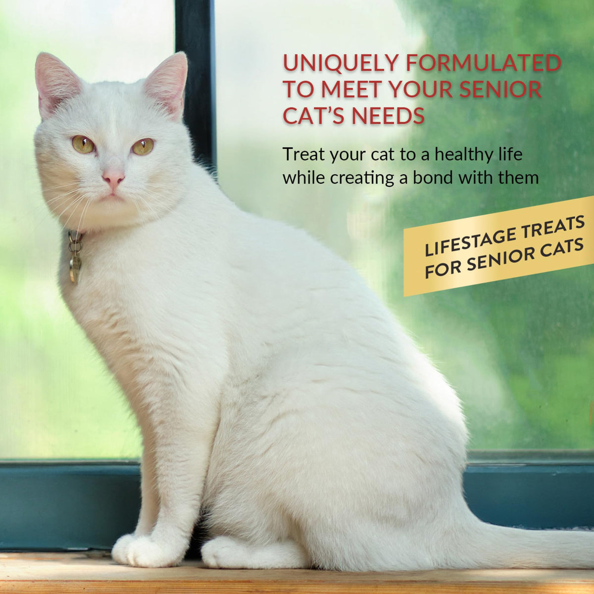 Lickable Cat Treats Tuna Chicken Variety 60ct M23092