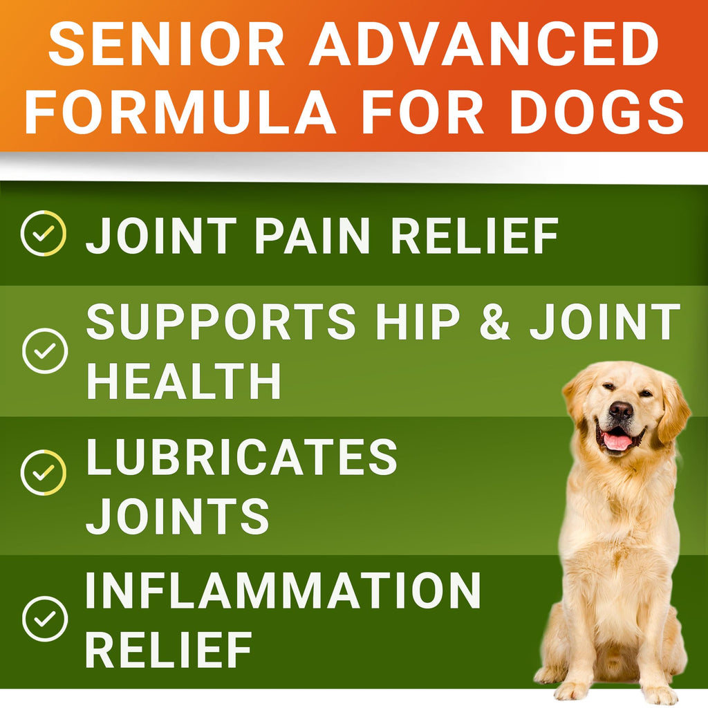Glucosamine Chondroitin Joint Support A93240