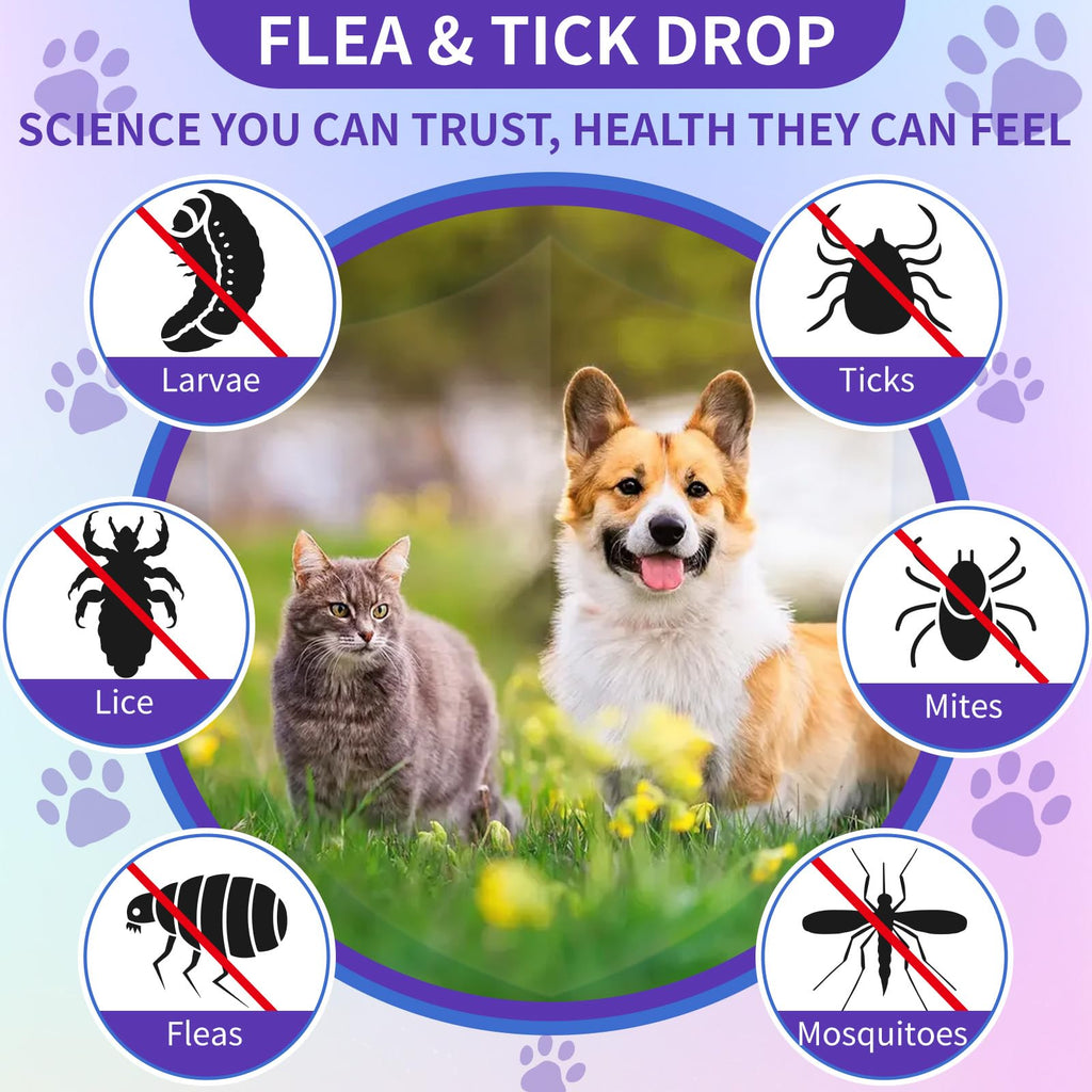 Flea and Tick Prevention for Cats & Dogs 60ml J2748