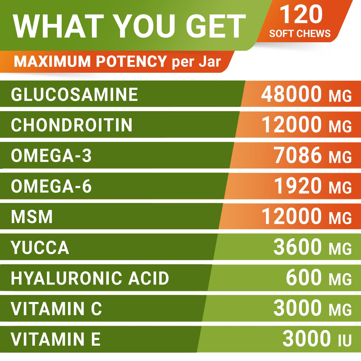 Glucosamine Chondroitin Joint Support A93240