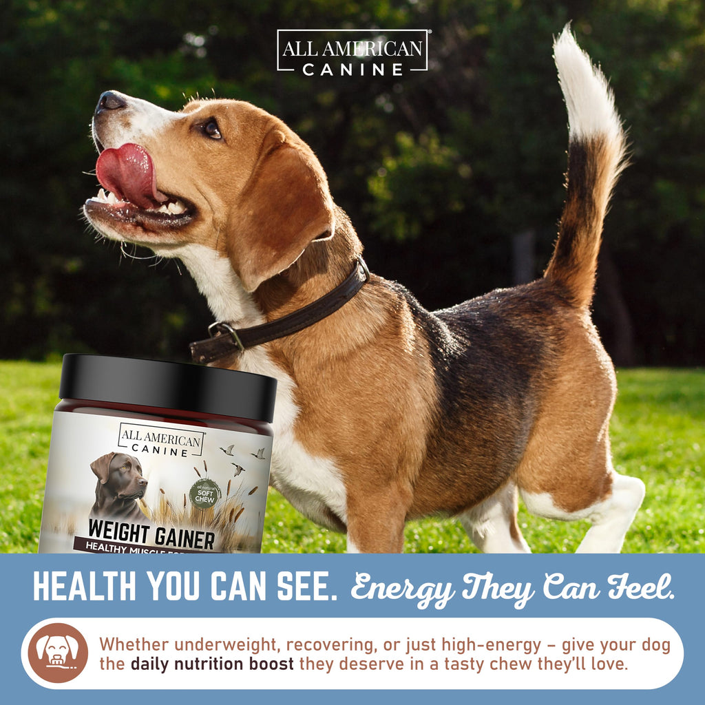 High Calorie Dog Weight Gainer Chews O970972