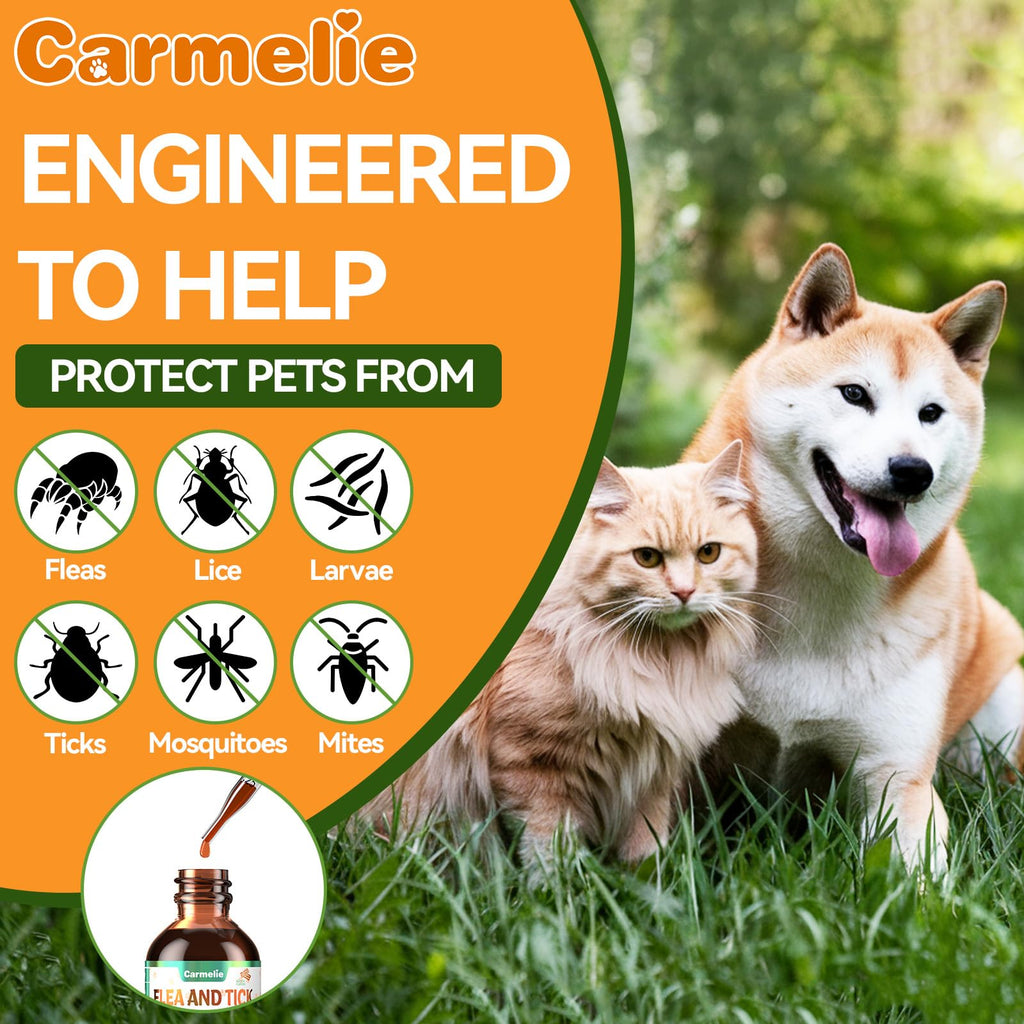 Flea and Tick Prevention for Dogs and Cats 60ml R538