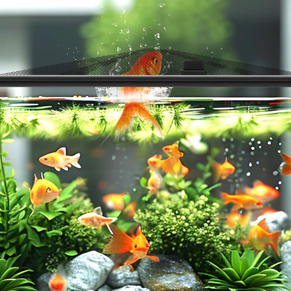 43"x27" Magnetic Aquarium Lid with Feeding Window U533028