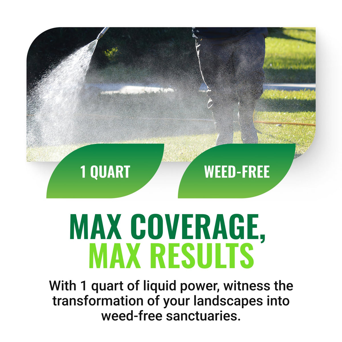 Weed Killer, 1 Quart J663
