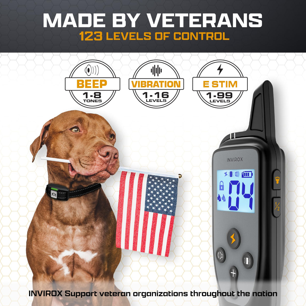 Dog Training Collar with Remote E50095