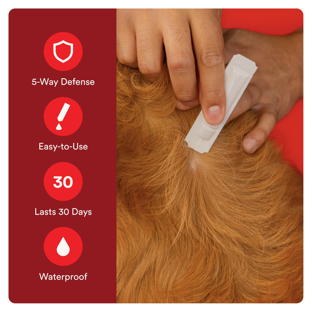 Flea and Tick Prevention for Small Dogs 6 Doses X6542