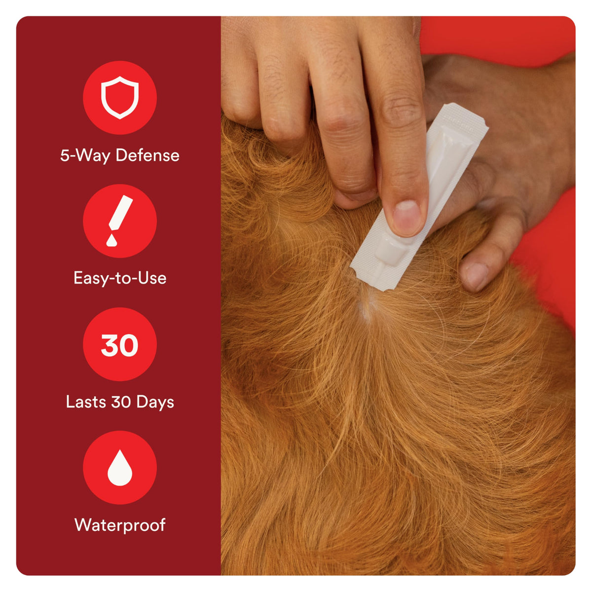 Flea and Tick Prevention for Small Dogs 6 Doses X6542