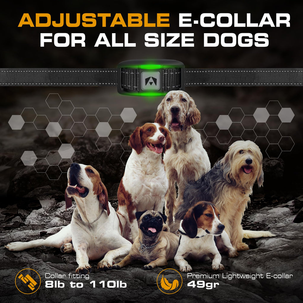 Dog Training Collar with Remote E50095