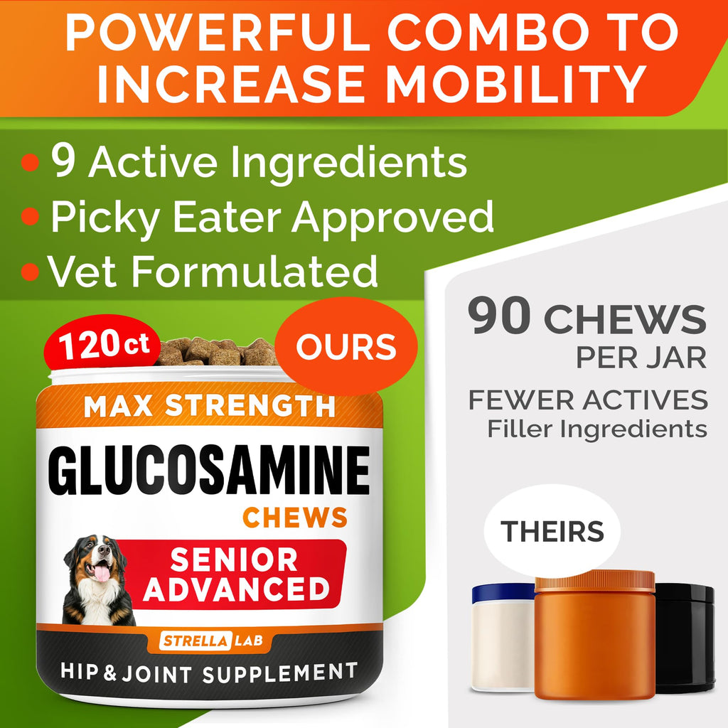 Glucosamine Chondroitin Joint Support A93240