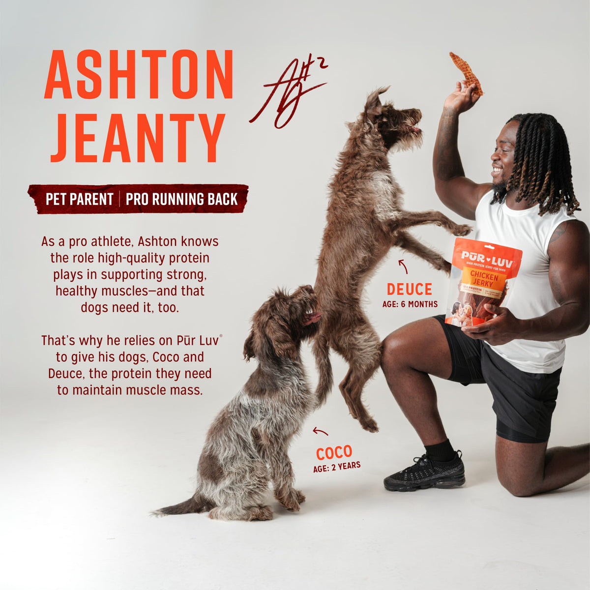 Chicken Jerky Dog Treats, 16 Ounces K130019
