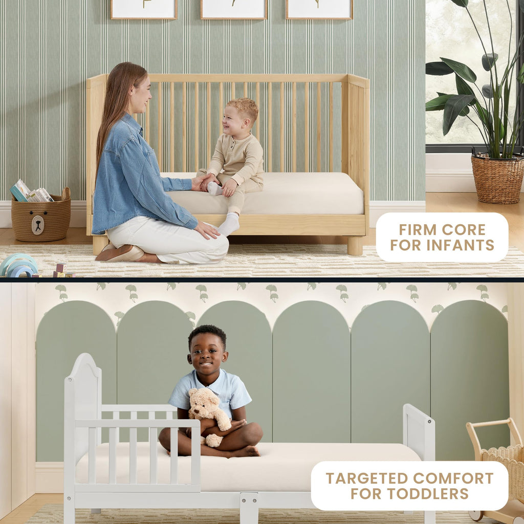 Organic Crib and Toddler Mattress Y653514