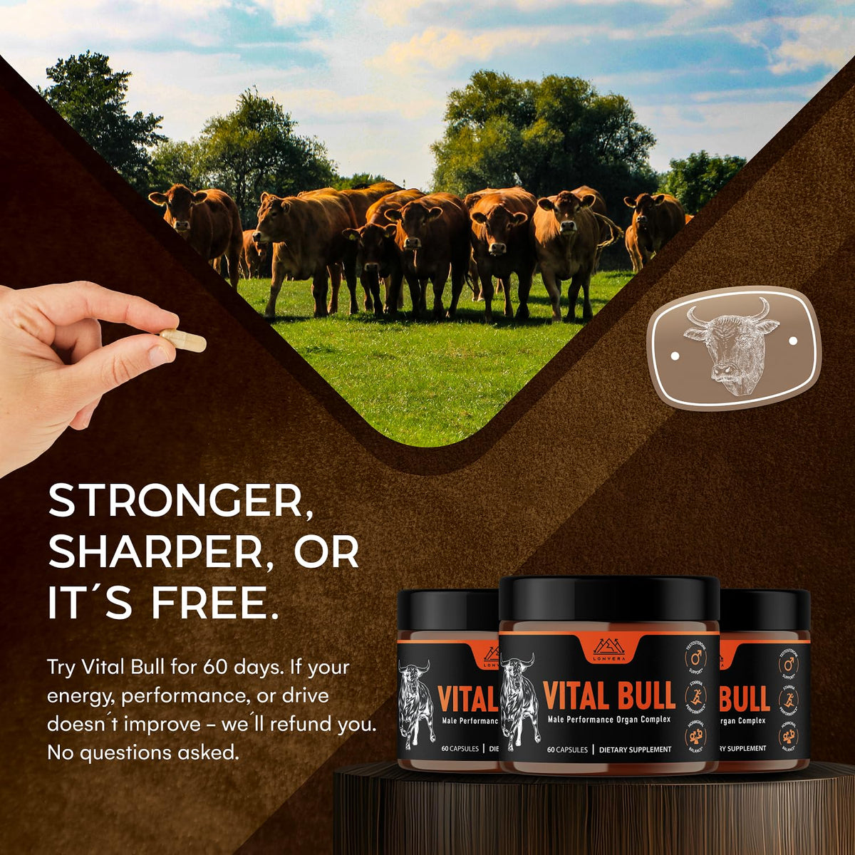 Grass Fed Beef Organ Capsules N79335