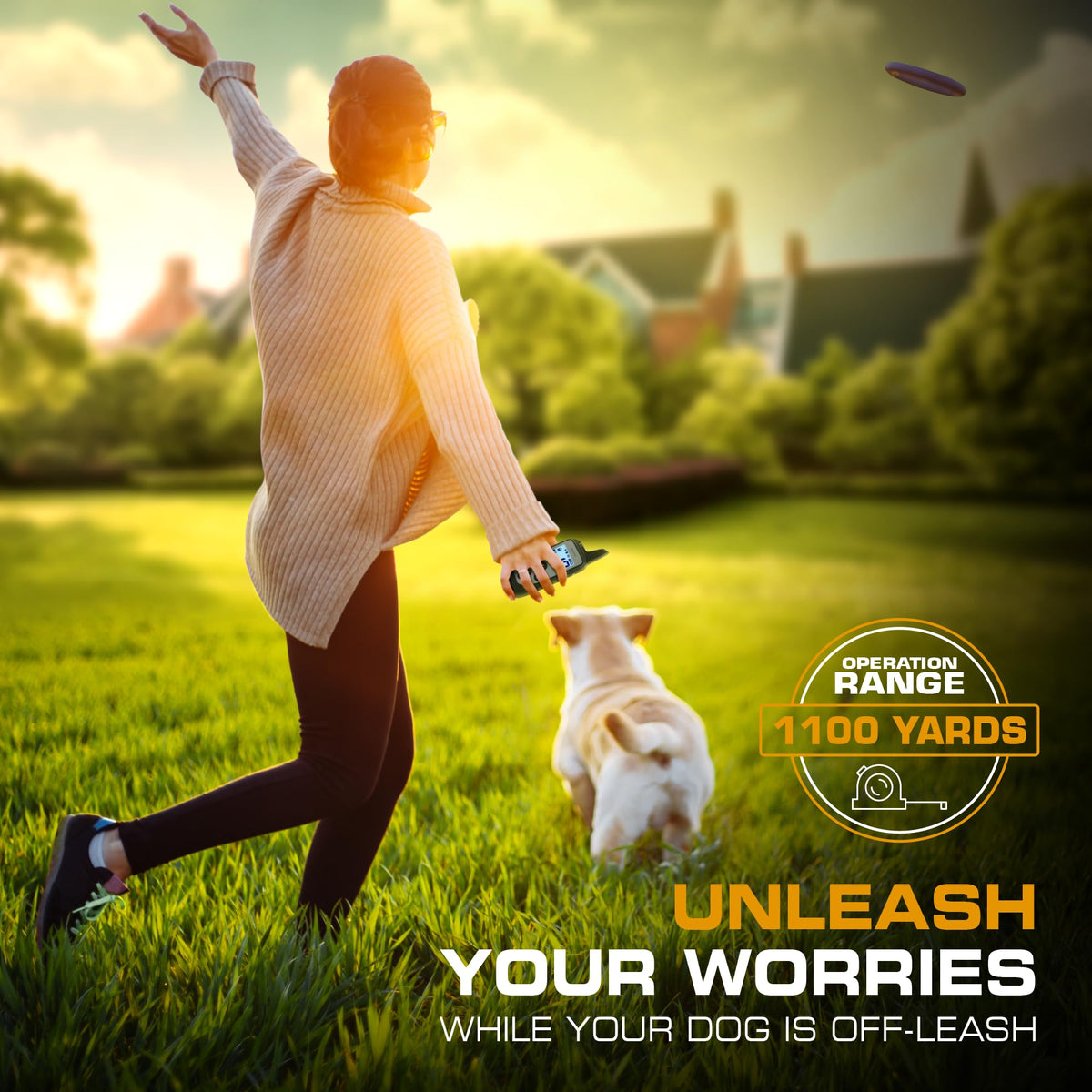 Dog Training Collar with Remote E50095