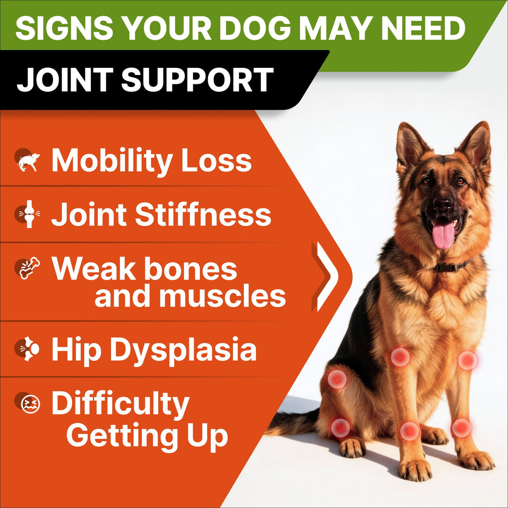 Glucosamine Chondroitin Joint Support A93240