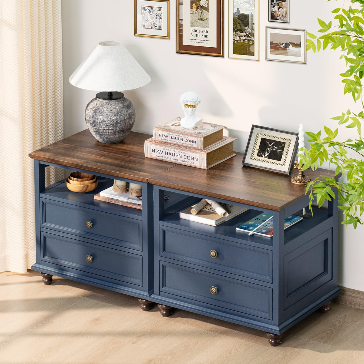 Blue 2 Drawer Wood Nightstand Y3311