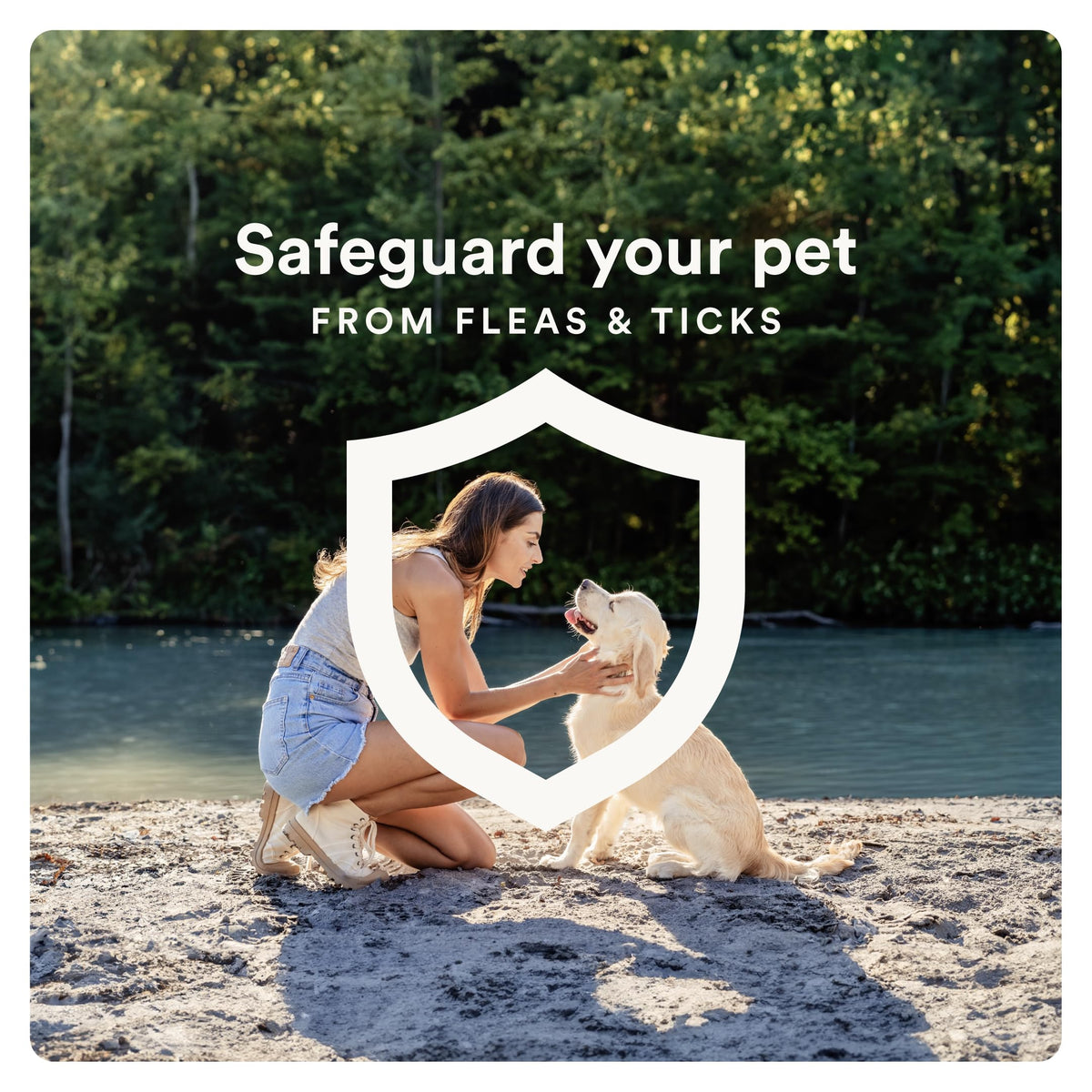 Flea and Tick Prevention for Small Dogs 6 Doses X6542