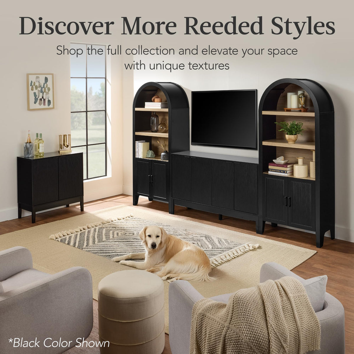 2-Door Storage Cabinet with Adjustable Shelves Q4388