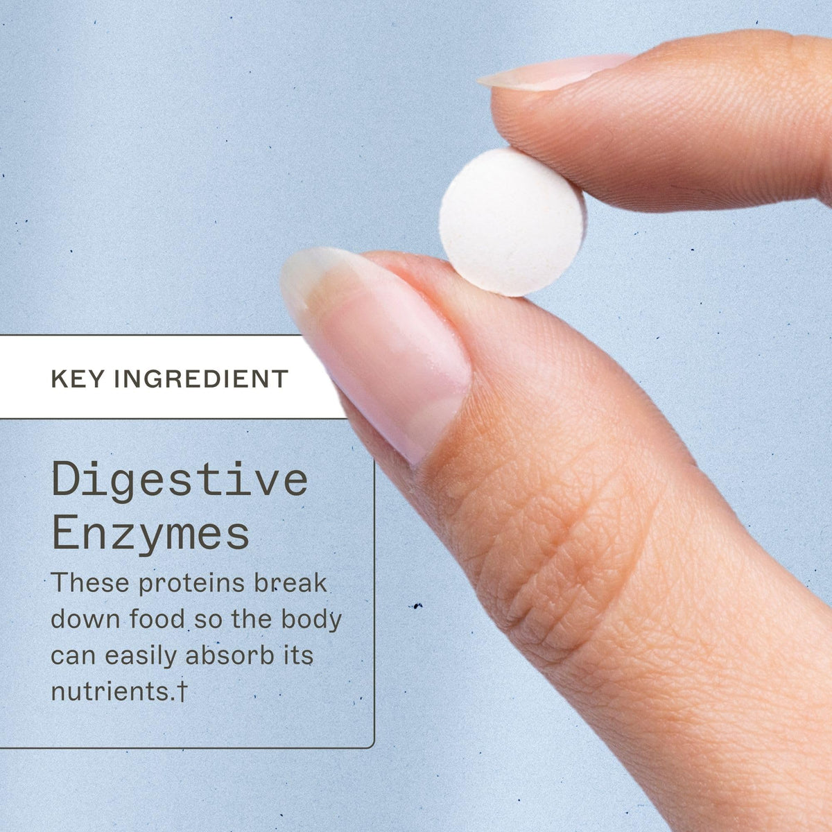 Chewable Digestive Enzymes 180 Tablets W56346
