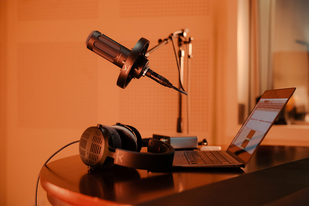 Dynamic Broadcast Microphone T702975