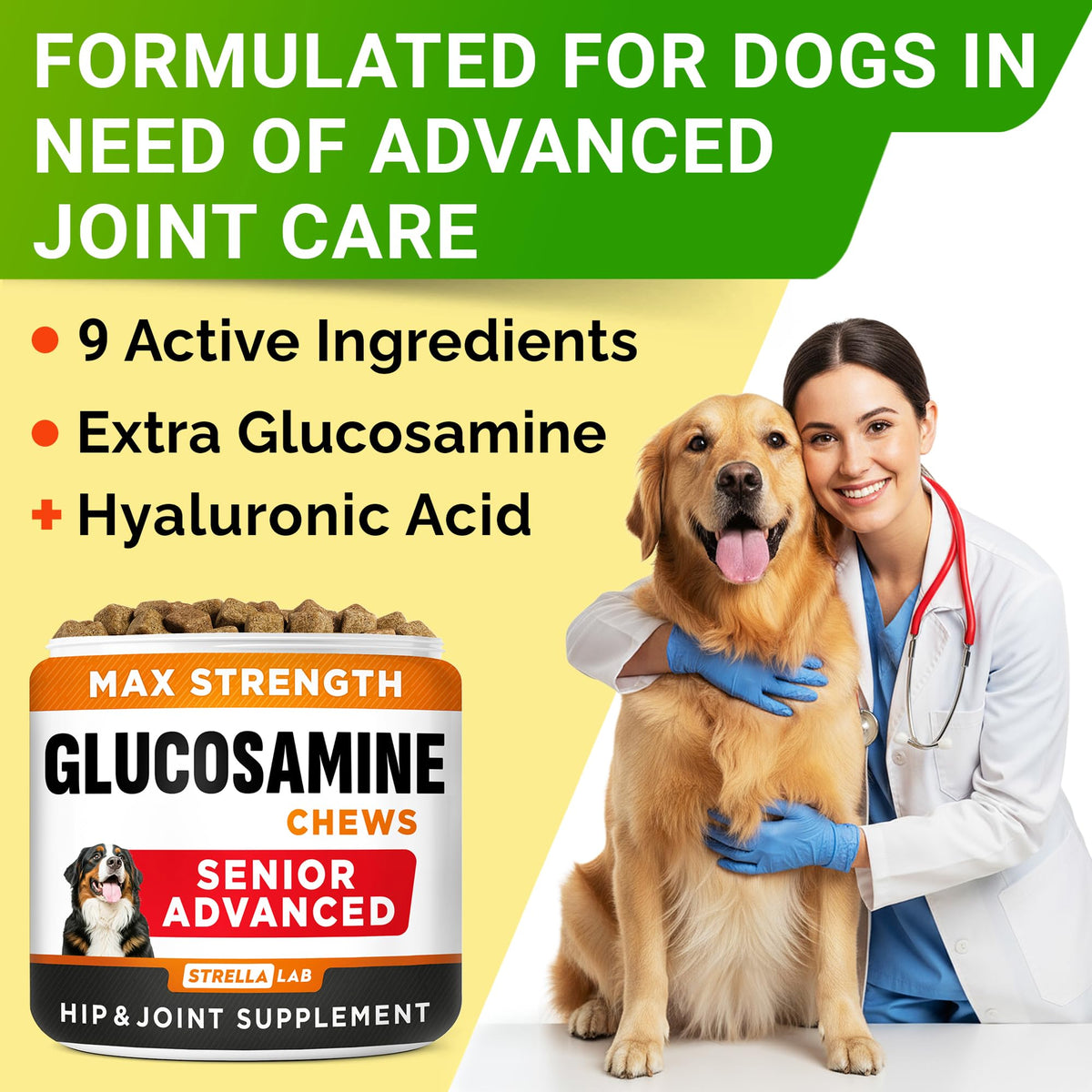 Glucosamine Chondroitin Joint Support A93240
