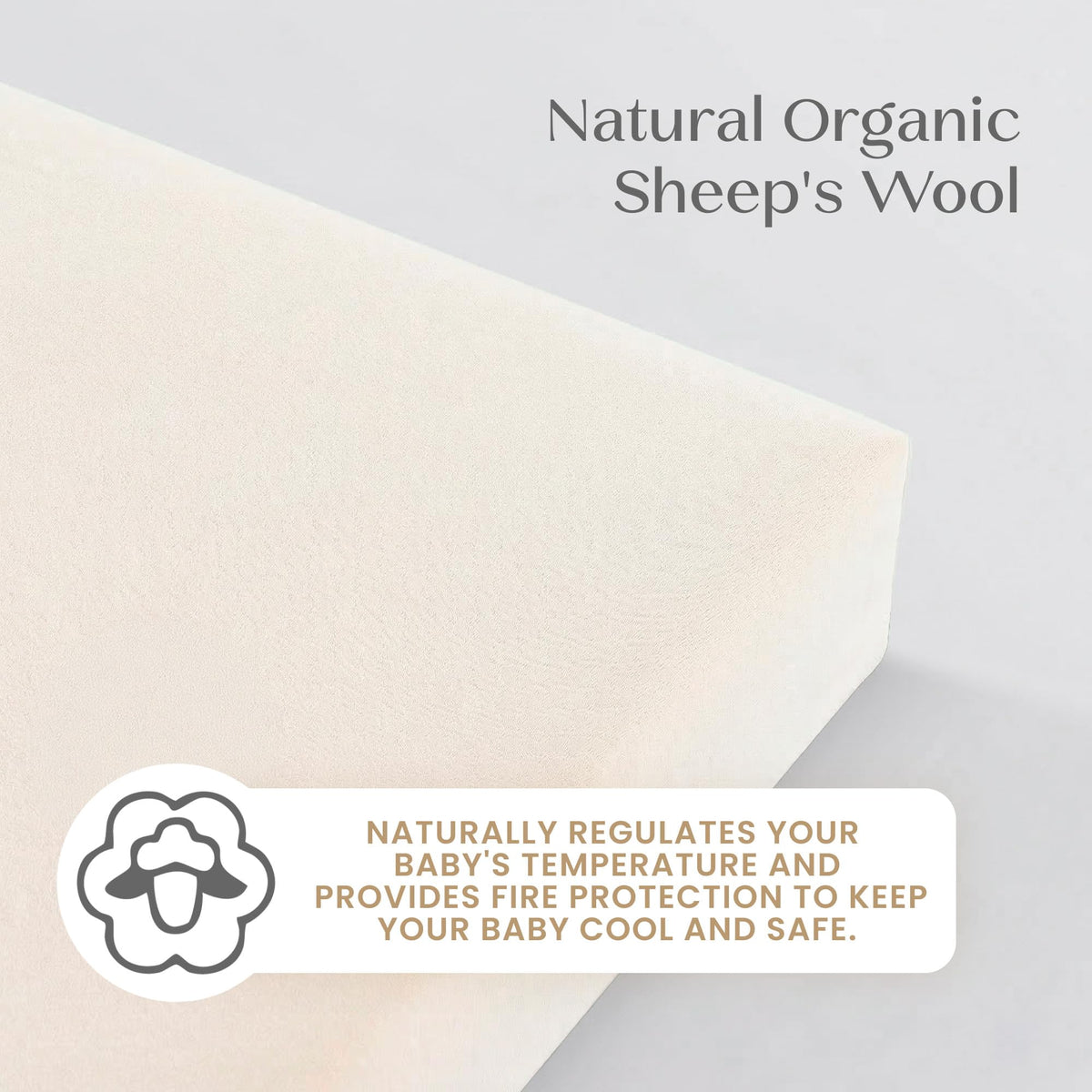 Organic Crib and Toddler Mattress Y653514