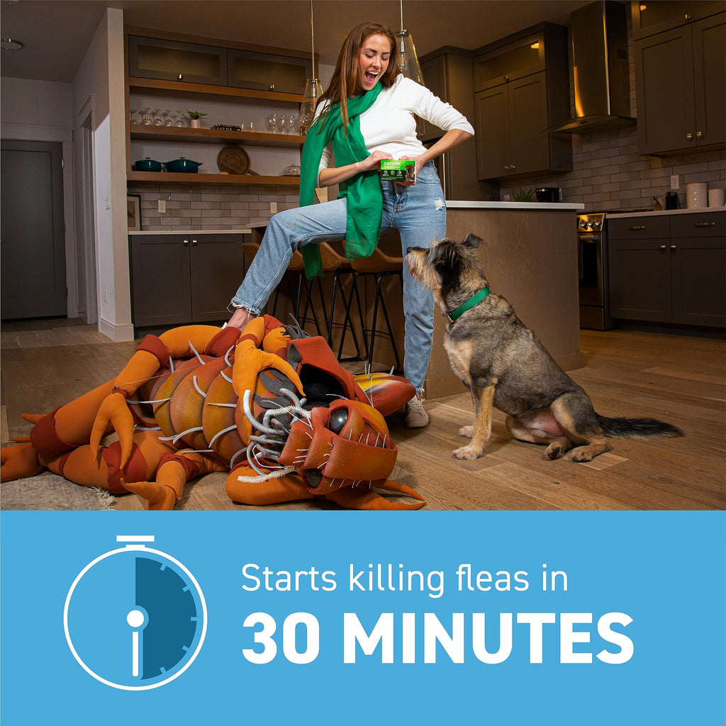 Flea and Tick Prevention for Small Dogs 6 Doses X6542